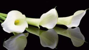 Deaths in Limerick- June 30 2018