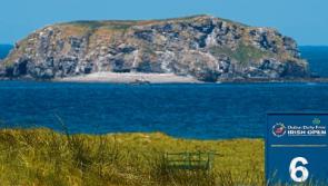 Limerick's Cian McNamara excited by Irish Open challenge