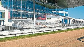 Limerick Greyhound Stadium cancels racing due to high temperature warning