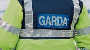 Limerick gardai investigating after antiques worth €20,000 stolen in daylight burglary