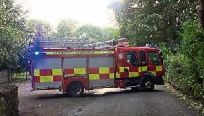 Fire crews respond to more than 100 calls as Limerick escapes the worst of Storm Ali