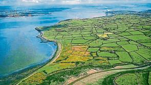 Acceptance of change in Shannon LNG plan leads to 'dismay' among group