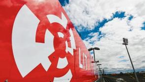 Limerick GAA launches plans to improve litter and waste management at LIT Gaelic Grounds