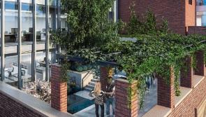 Nordic Aviation takes three more floors at Limerick&rsquo;s Gardens International