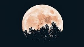 Limerick astronomy column - Exploring the many moons