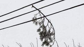 Orange alert issued as Met Éireann warns of severe winds in Limerick