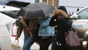 Events cancelled, warnings in place for Limerick as Storm Atiyah approaches