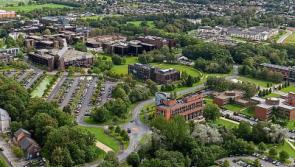 ‘Dangerous levels of staff bullying’ alleged at University of Limerick