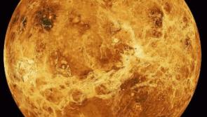 Limerick Astronomy Club: Venus ready to impress