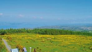 From the Swan River Estuary of Perth to the Shannon Estuary Way of Limerick
