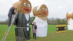 Love is Golden in the Woodlands