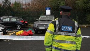 Elderly woman dies following Limerick accident