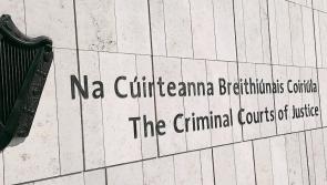 Peace activists accused of damaging runway at Shannon Airport 'would not accept' concerns of gardai