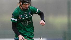 Unbeaten run continues for Limerick camogie