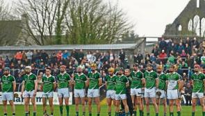 Limerick hurlers drawn away to Dublin