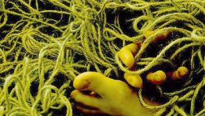 The Art of Conversation