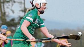 Limerick bid to end wait for camogie league final 