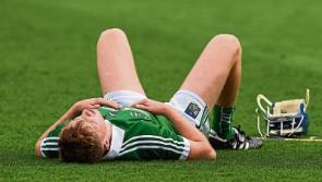 Donnelly: 'We lost with our heads held high'