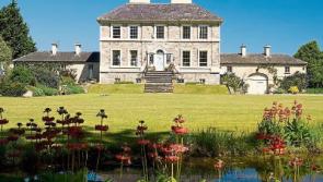 Homes in Limerick worth a combined €27m are sold