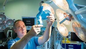 University of Limerick professor's groundbreaking&nbsp;research identifies new area of science