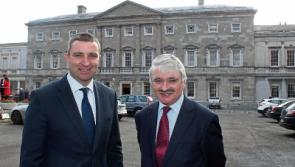 Fianna Fail to resume two candidate strategies in Limerick