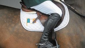 Limerick showjumper impresses at International Grand Prix  