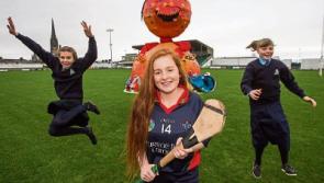 Countdown begins as 'monster' Team Limerick Clean-Up returns