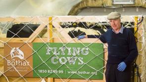 Limerick ICMSA chair issues warning after his home is burgled