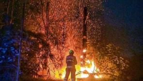 Large tree fire sparks callout for Limerick Fire crews