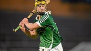 Limerick confirm 39-man panel for U-21 hurling tie with Tipperary