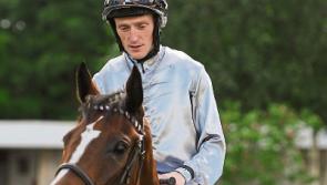 Limerick jockey Billy Lee rides Galway festival winner