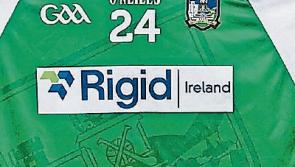 Limerick Underage Hurling Academy – full list of players, coaches and fixtures