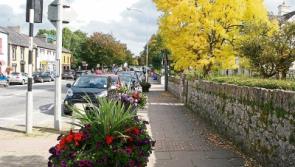 Three Tidy Towns awards head to West Limerick