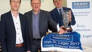 Limerick Greyhound's biggest night of the year with Irish St Leger final