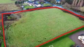 WATCH: Limerick field that cost over €1m in boom sells for €156k