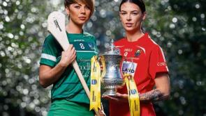 Limerick bid to end 16 years out of camogie league decider with Cork semi final