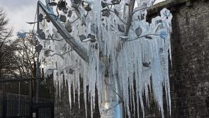 'Ice' tourism boost for Tree of Life fountain outside Limerick Prison