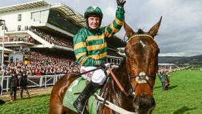 JP McManus and Enda Bolger chase big race glory at Cheltenham 