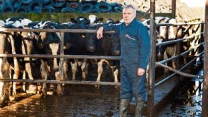Milk price cut a big blow to Limerick farmers 