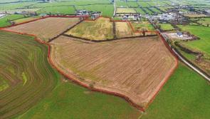 Land Ahoy! Upcoming Limerick auctions and sales by private treaty 