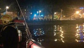 Emergency services deployed during river rescue operation in Limerick