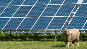 Green light for two Limerick solar farms