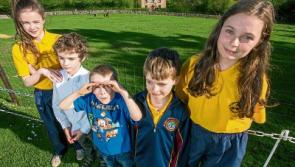 Red deer return to roam grounds of Bunratty Castle and Folk Park