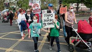 Limerick historian on march against anti-pollution lobby for use of People's Park