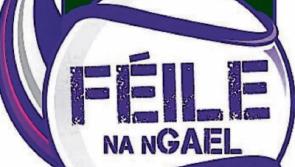How Limerick clubs fared on day one of F&eacute;ile na nGael national finals