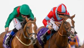Limerick jockey Chris Hayes celebrates hat-trick of wins