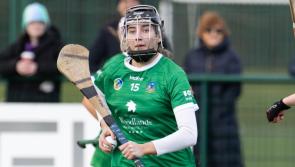 Limerick lose out to Antrim in Very Camogie League