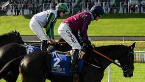 Limerick Racecourse celebrates 21st staging of Munster National