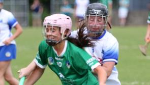 Limerick suffer defeat to Waterford in All-Ireland camogie championship 