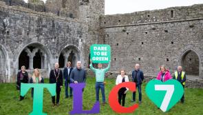 Record number of volunteers sign up for Team Limerick Clean-Up
